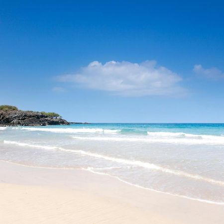 Ikena Nani Exquisite Mauna Kea Home With Heated Pool And Ocean Views Waimea  Exteriér fotografie